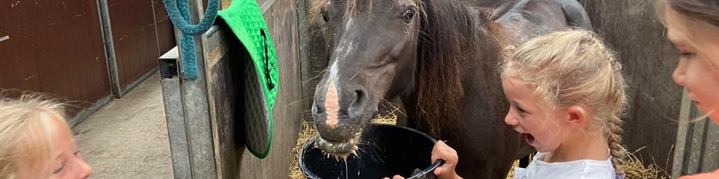 Pony Ontdek Middag – vanaf 7 oktober